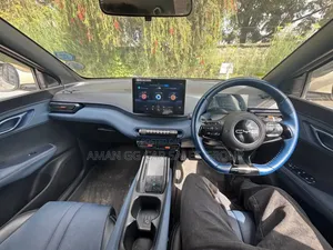 BYD Seagull 2024 Gray