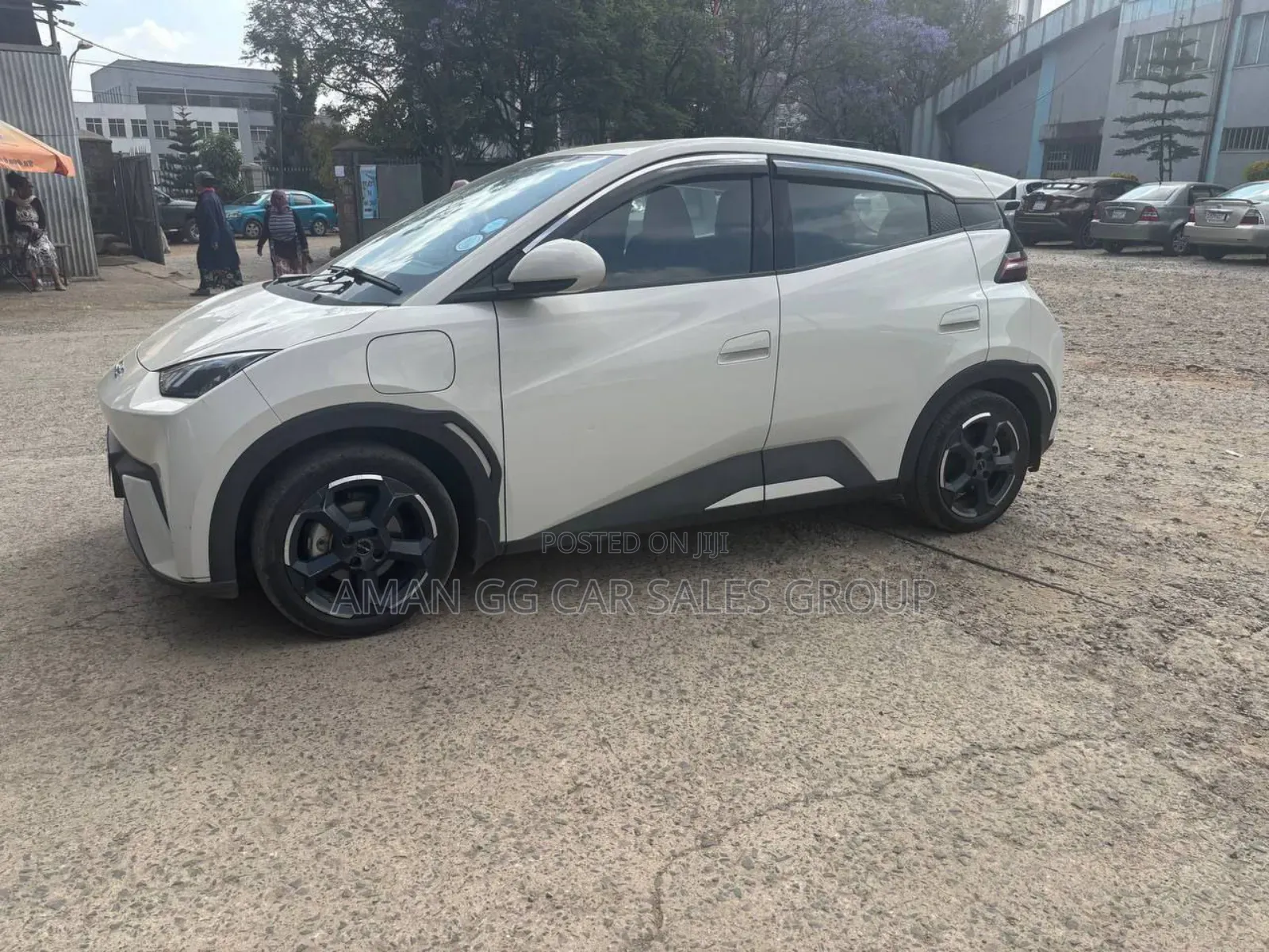 BYD Seagull 2024 Gray