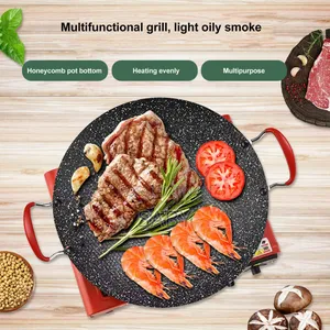 Photo - Electric Grill Pan
