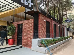 ፅድት ያለ ሸክላ(ጡብ) Clay Brick በፋብሪካው ዋጋ