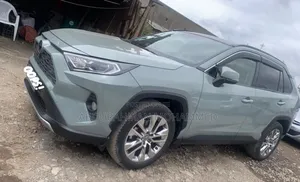 Toyota RAV4 LE AWD 2020 Green