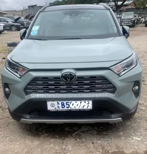 Toyota RAV4 LE AWD 2020 Green