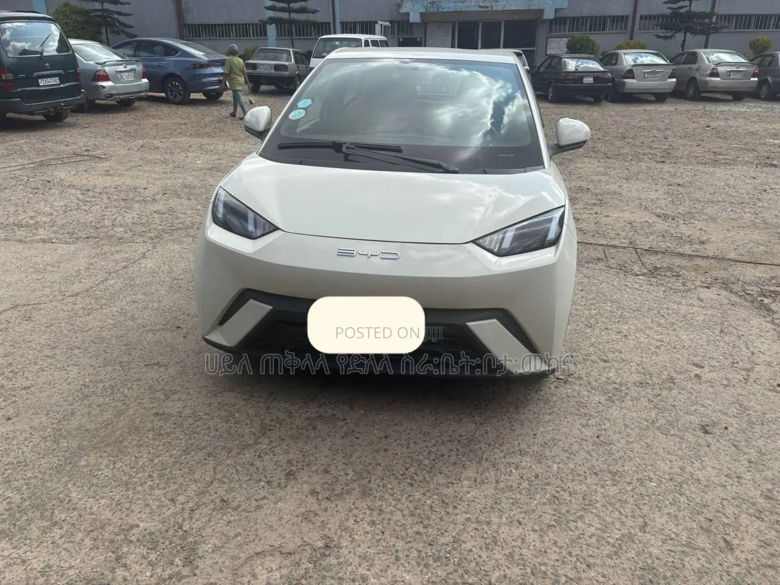 BYD Seagull 2024 White