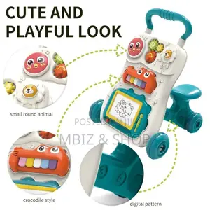 Baby Push Walker – Fun Panel
