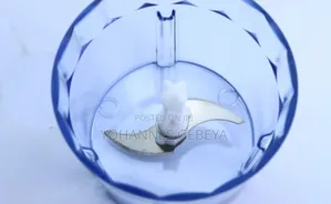 Silver Love 4 in 1 Hand Blender