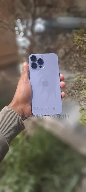 Apple iPhone 13 Pro Max 256 GB