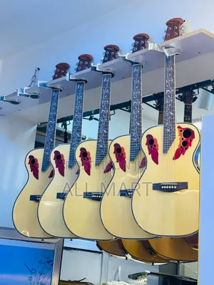 Photo - Semi - Acoustic Guitar