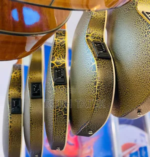 Semi Acoustic Guitar