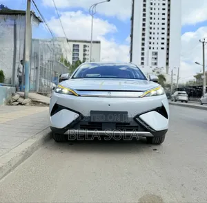 Photo - New BYD Yuan Plus 2025 White