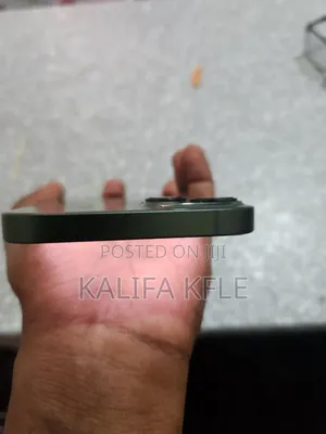 Apple iPhone 13 256 GB Green