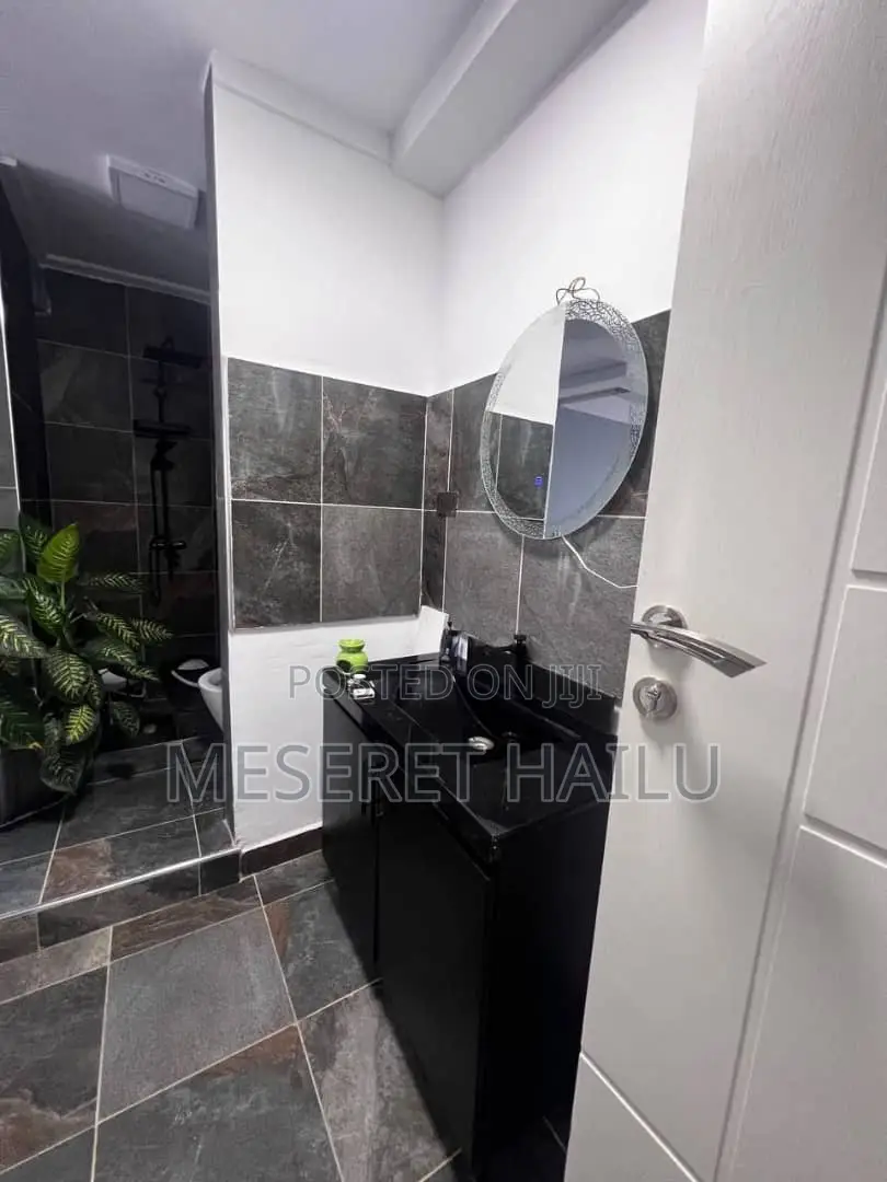 Furnished 1bdrm Condo in Bole Bolbula for rent