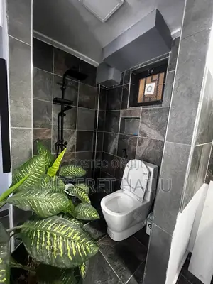 Furnished 1bdrm Condo in Bole Bolbula for rent