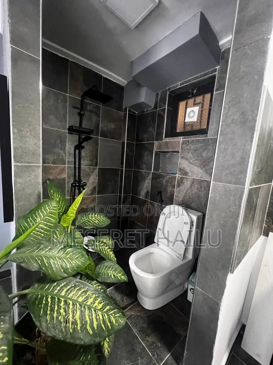 Furnished 1bdrm Condo in Bole Bolbula for rent