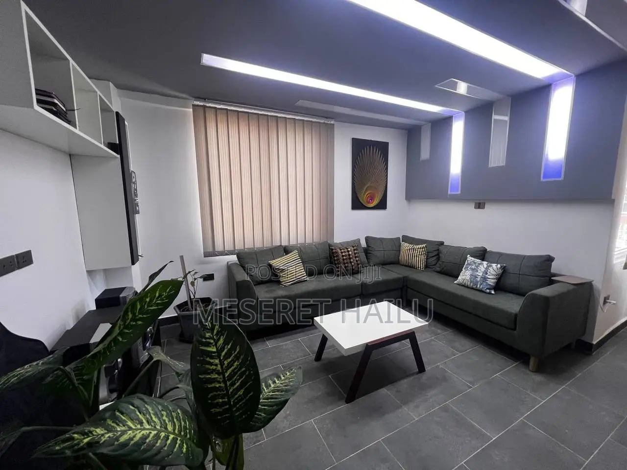 Furnished 1bdrm Condo in Bole Bolbula for rent