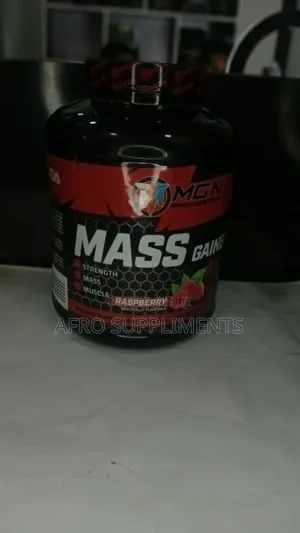 MGN Massgainer