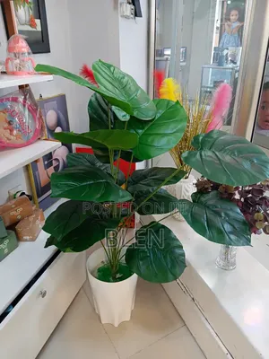 Photo - Artfical Plant