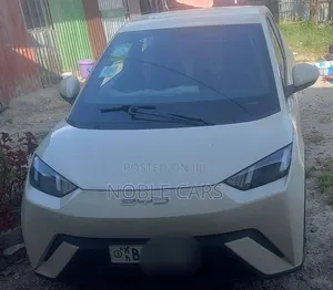 Photo - BYD Seagull 2023 White