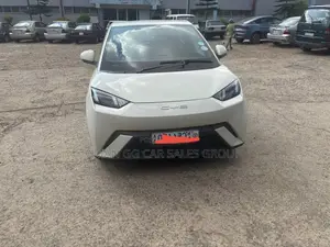 Photo - BYD Seagull 2024 Gray