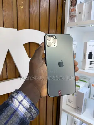 Apple iPhone 11 Pro Max 256 GB Gray