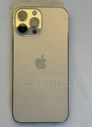 Apple iPhone 15 Pro Max 256 GB Silver