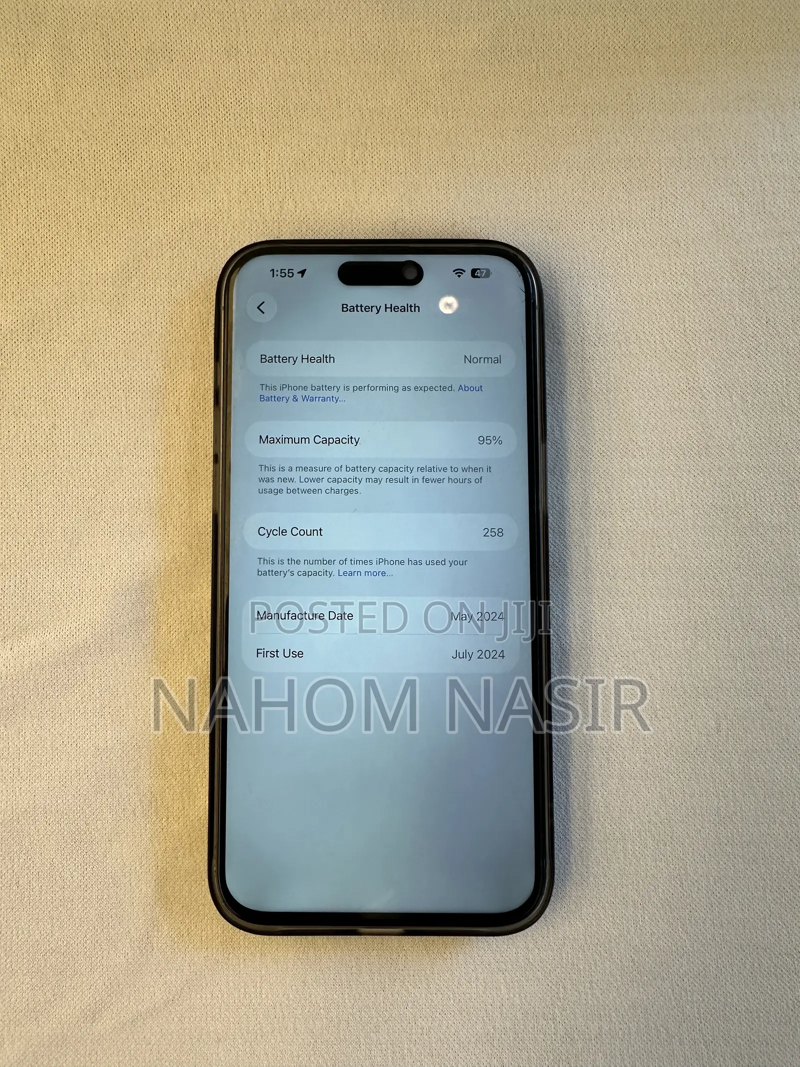 Apple iPhone 15 Pro Max 256 GB Silver