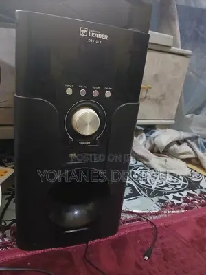 Excellent Quality Voice