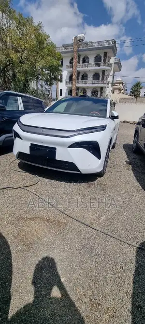 Photo - New BYD Tang DM-i 2025 White