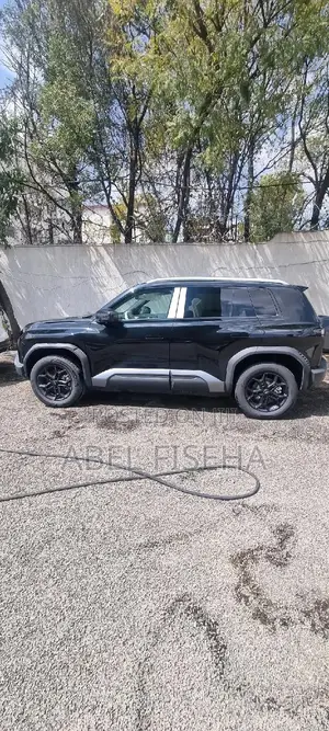 Photo - New BYD Leopard 3 Max 2025 Black