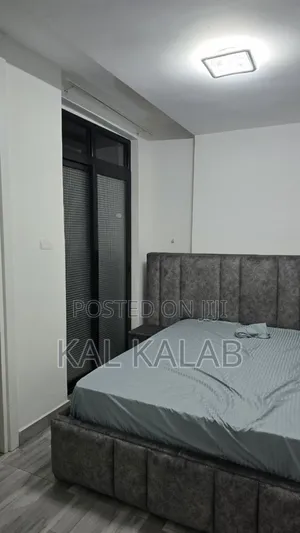 Furnished 3bdrm Apartment in Kal, Bole for rent