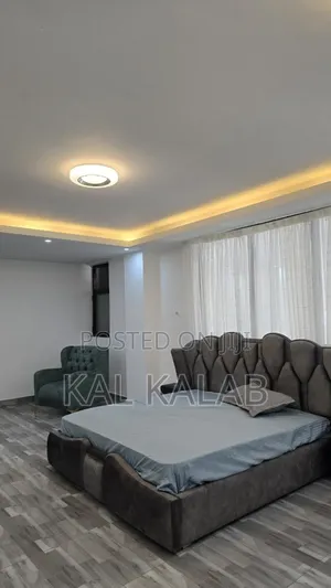 Furnished 3bdrm Apartment in Kal, Bole for rent