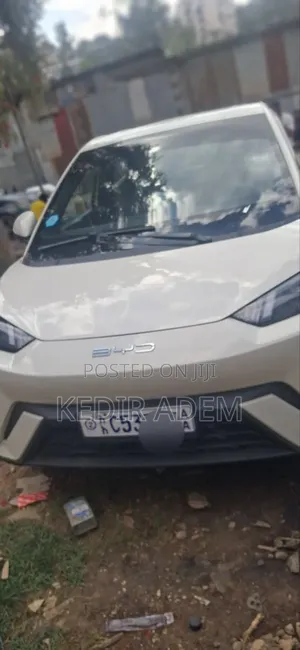 BYD Seagull 2024 White