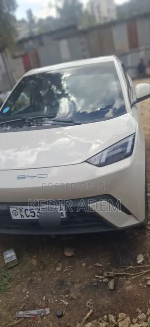 BYD Seagull 2024 White