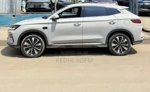 New BYD Song Plus 2025 Brown