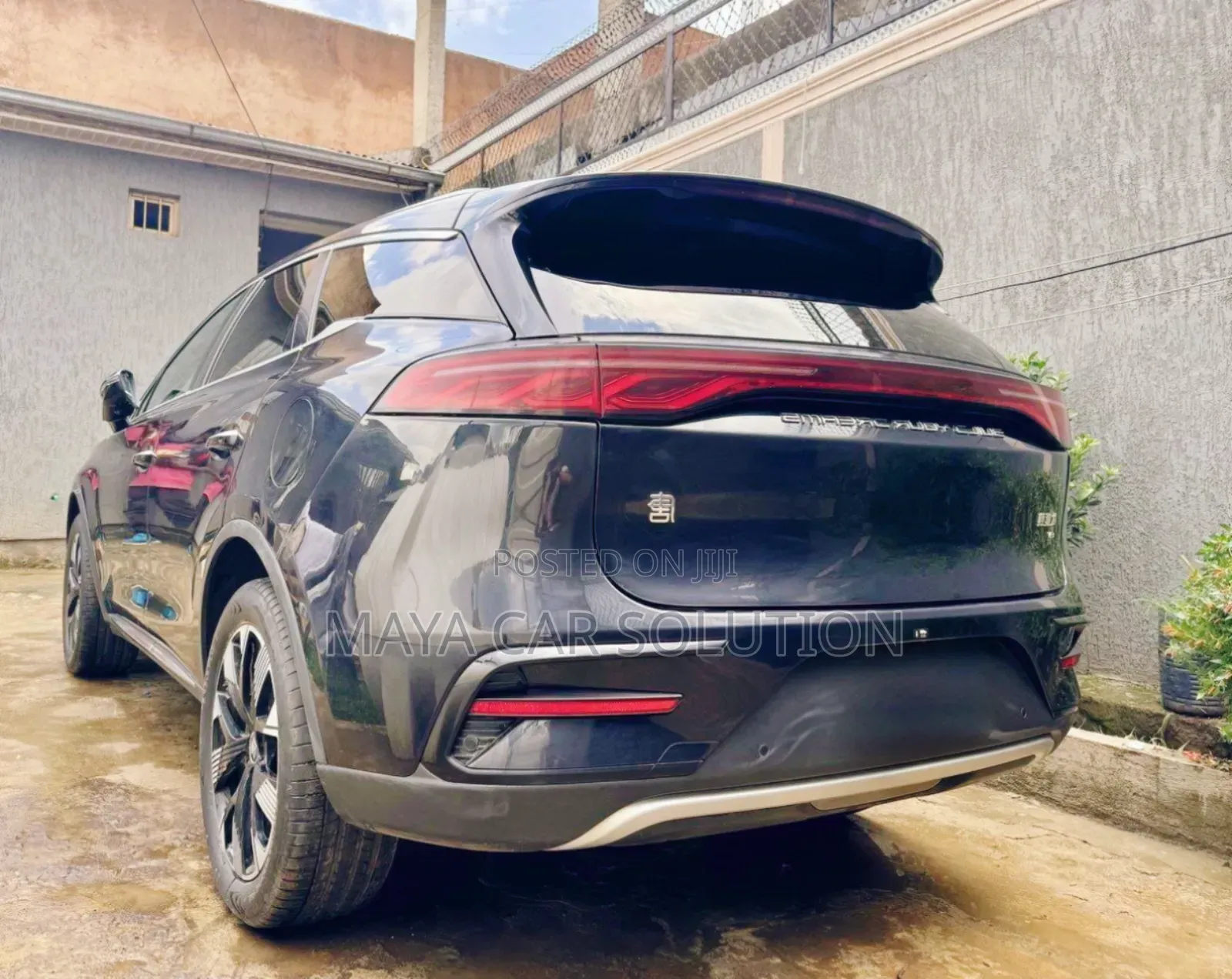 BYD Tang DM-i 2024 Beige