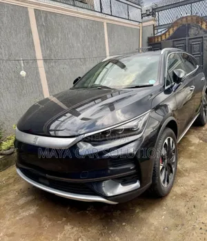 BYD Tang DM-i 2024 Beige