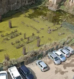 Photo - Land For Sale