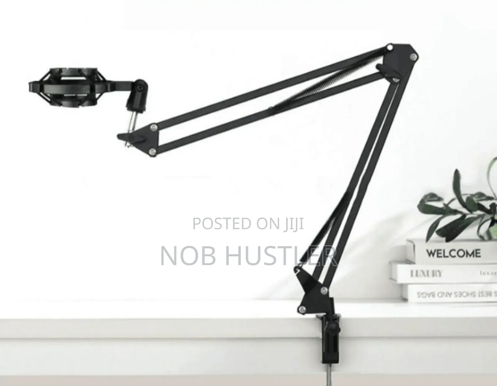 Professional Adjustable Microphone Stand