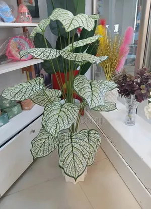 Photo - Artfical Plant