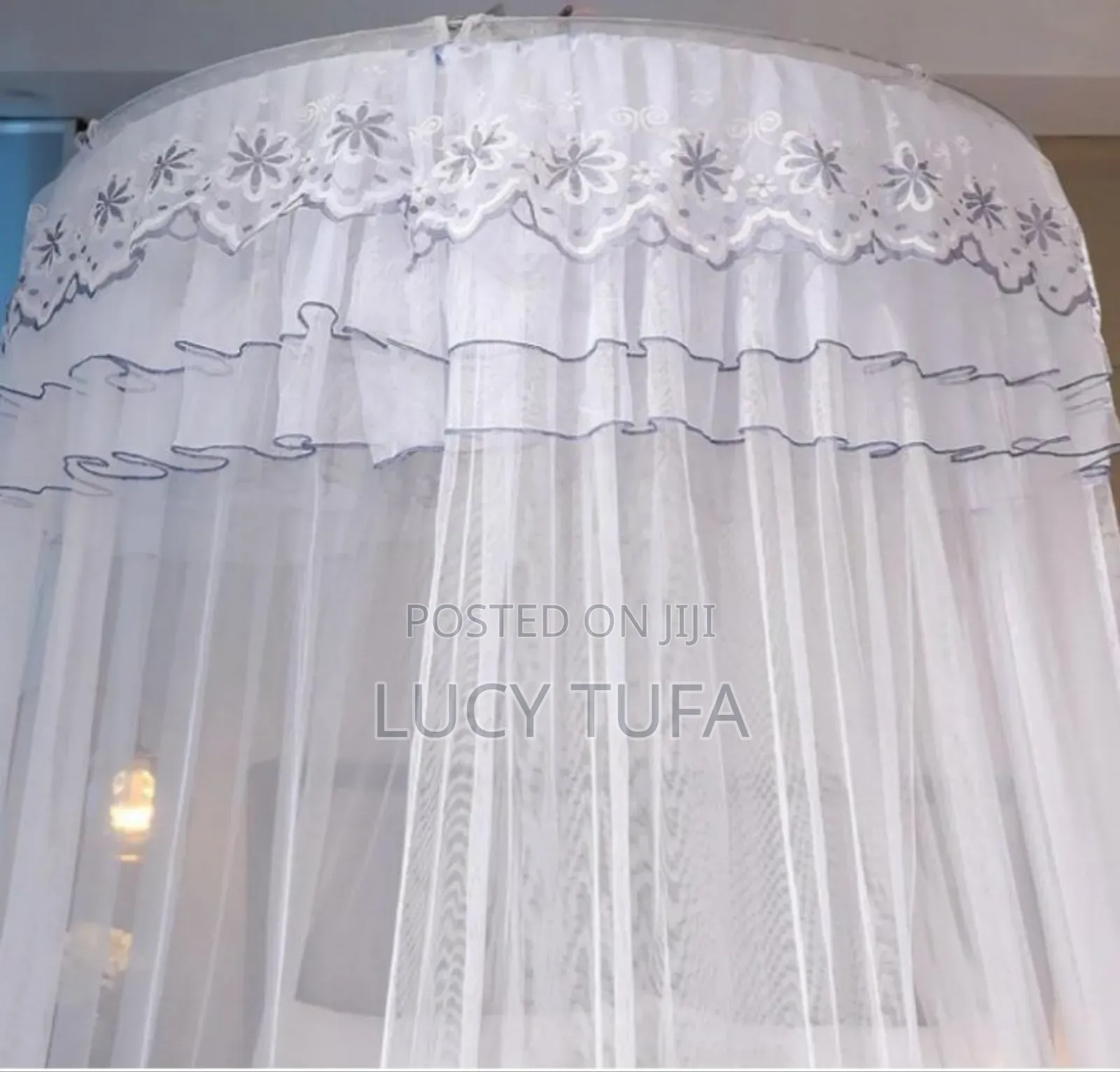 ባለ ክብ አጎበር (ዛንዚራ)