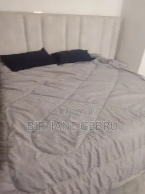 2 Bedroom Luxury Fernished,Apartiment for Rent