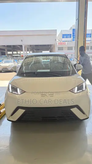 BYD Seagull 2025 White