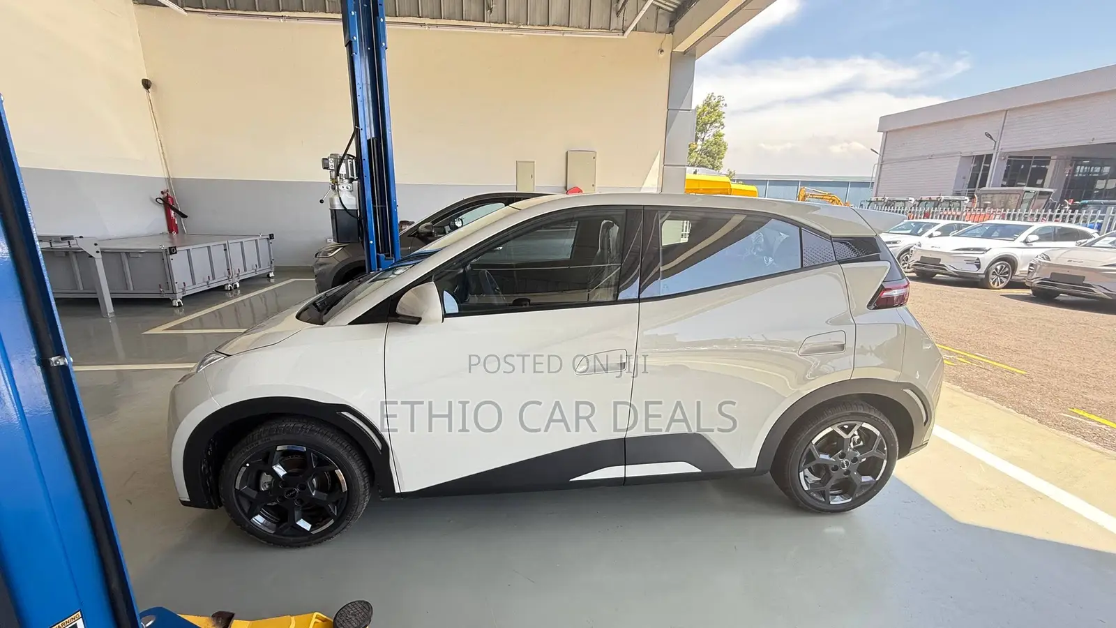 BYD Seagull 2025 White