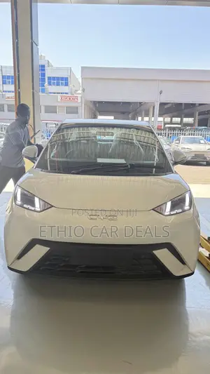 Photo - BYD Seagull 2025 White