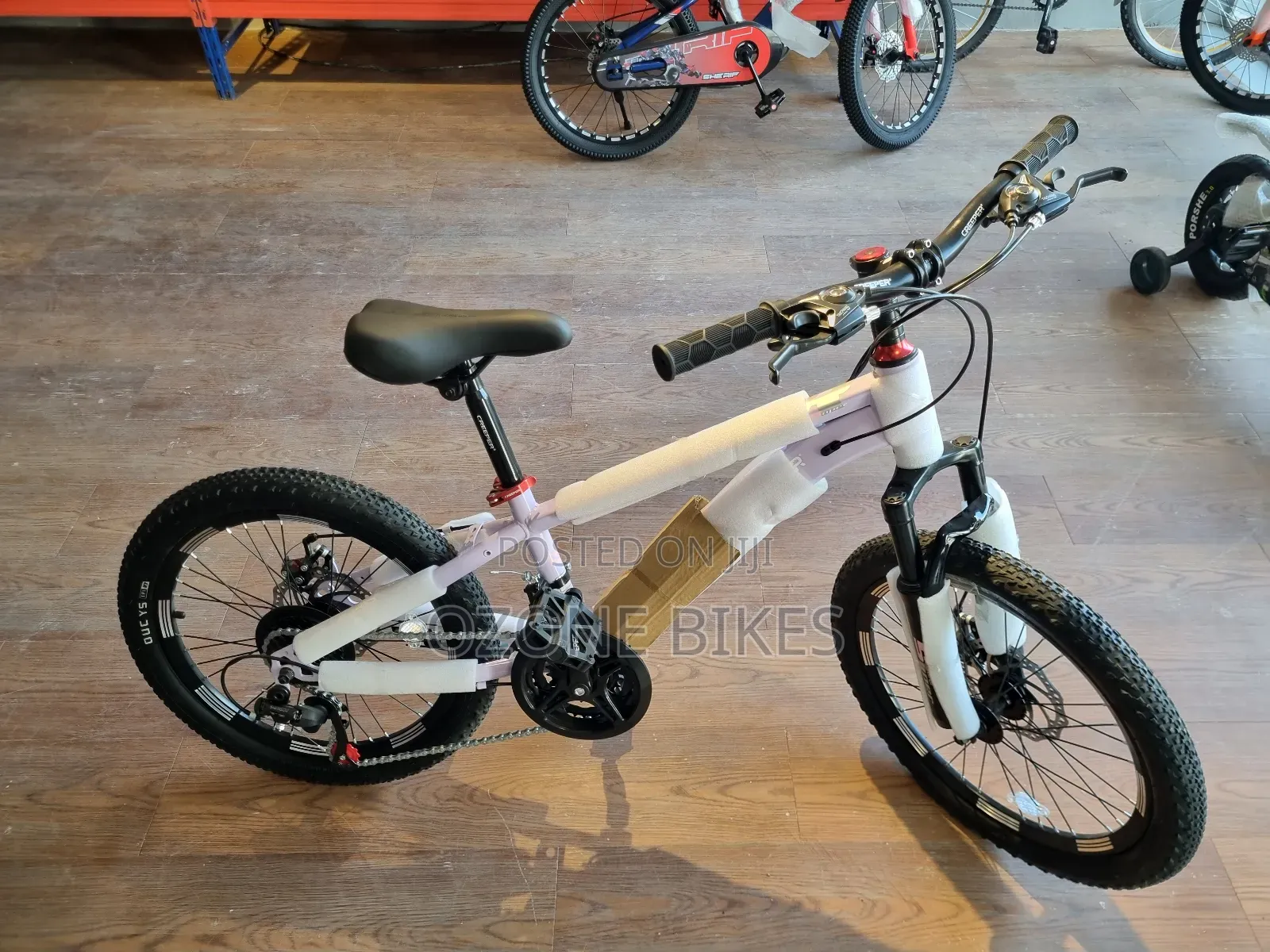 Creeper 20" Inch Bicycle With Gears (Purple)