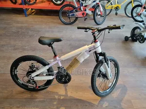 Creeper 20" Inch Bicycle With Gears (Purple)