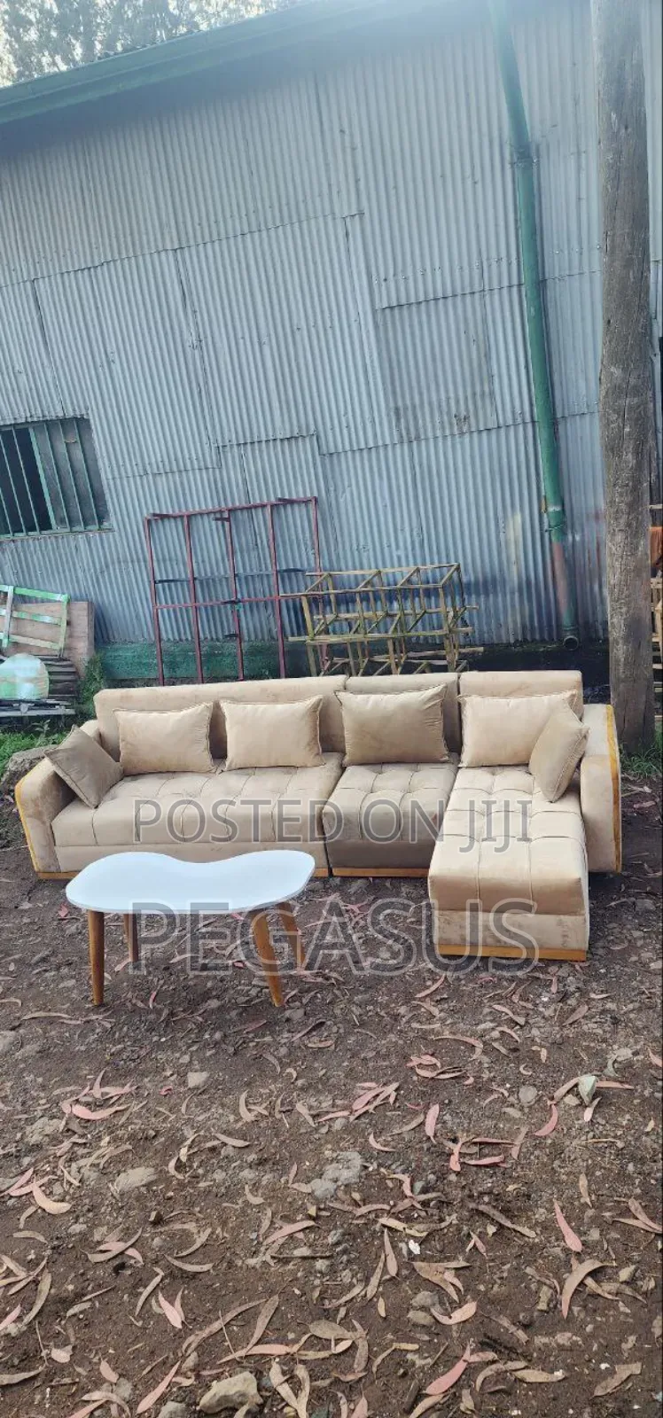 Pegasus Furniture High Quality Sofas