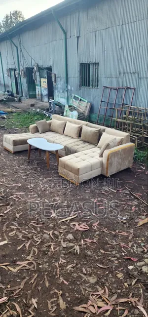 Pegasus Furniture High Quality Sofas