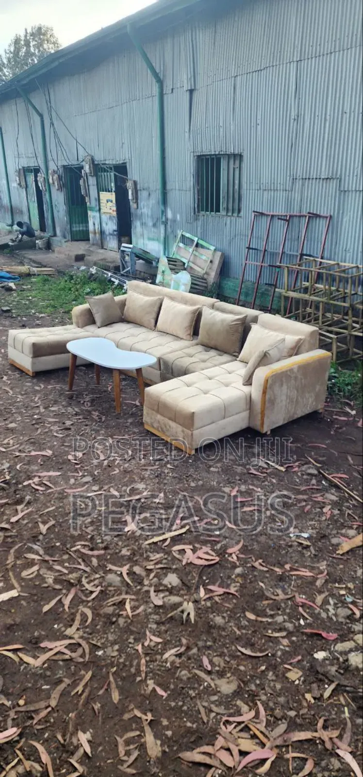 Pegasus Furniture High Quality Sofas