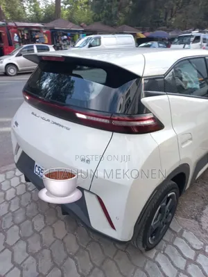 BYD Seagull 2024 White