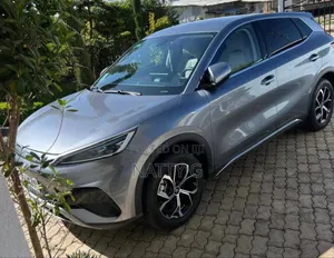 BYD Yuan Plus 2024 Gray